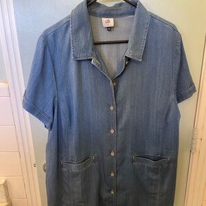 CAbi Piece of Cake Dress